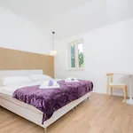 Bela